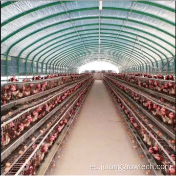 Invernadero de aves de corral de un solo tramo para la granja de pollos